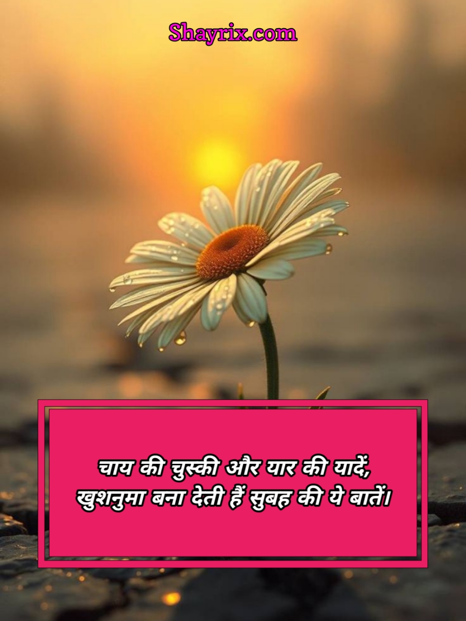 Good Morning Shayari Friend
