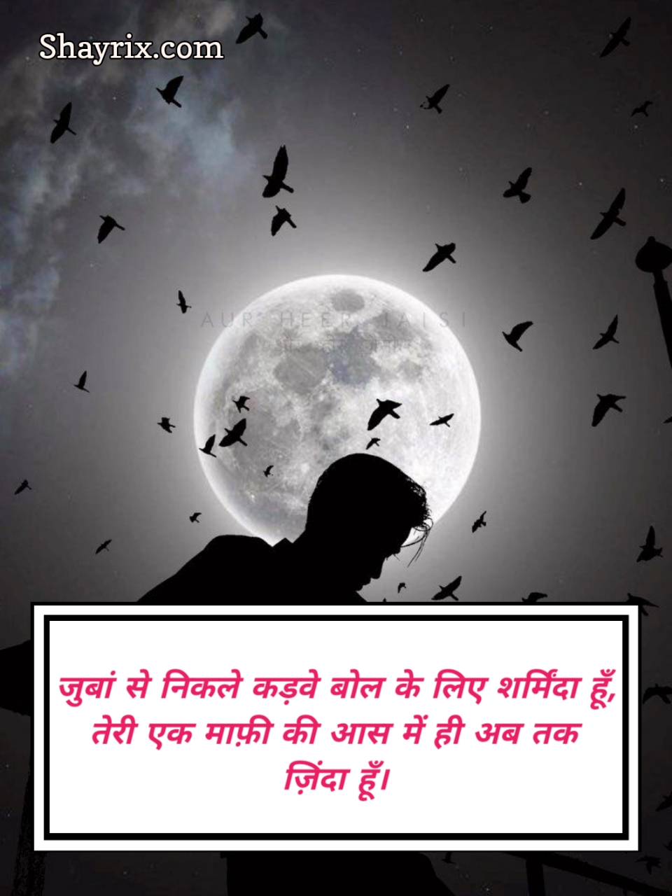 Sorry Shayari 2 Lines In Hindi