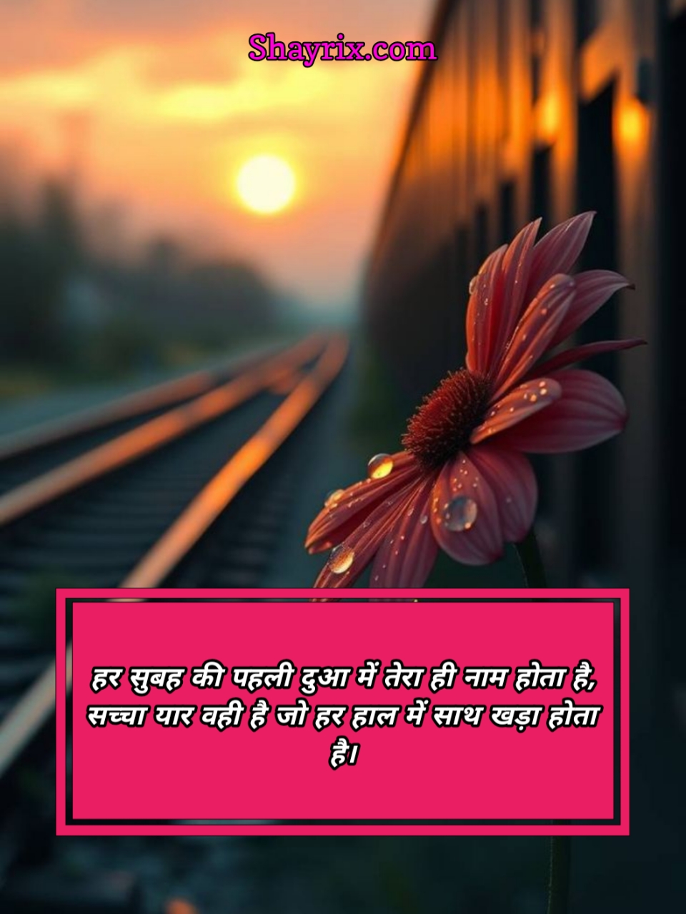 Good Morning Shayari Friend